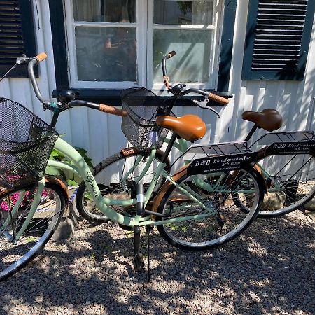 B&B Bland Ormbunkar Och Rosor ファルケンベリ エクステリア 写真