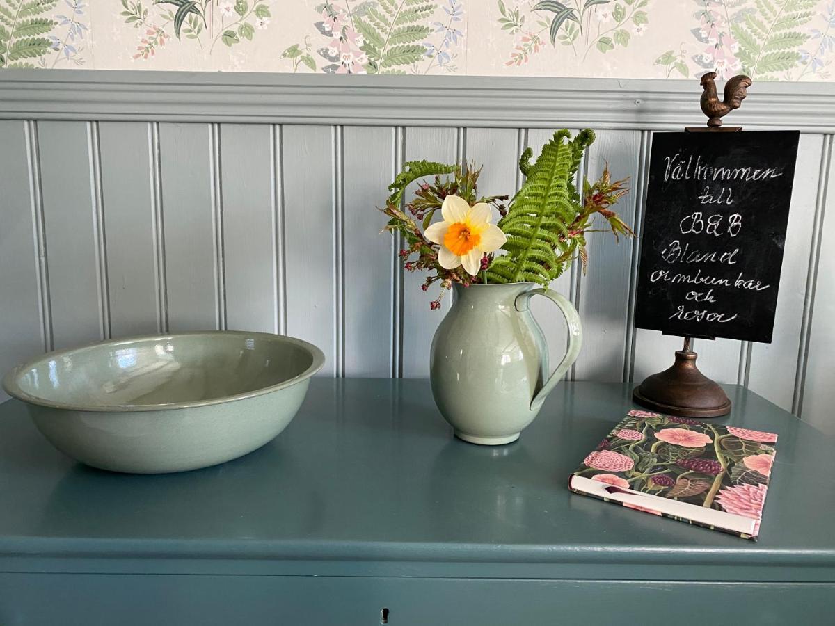 B&B Bland Ormbunkar Och Rosor ファルケンベリ エクステリア 写真