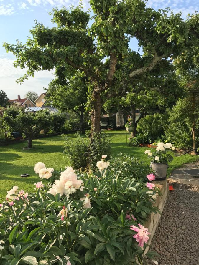B&B Bland Ormbunkar Och Rosor ファルケンベリ エクステリア 写真