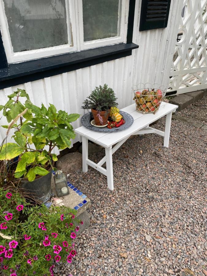 B&B Bland Ormbunkar Och Rosor ファルケンベリ エクステリア 写真