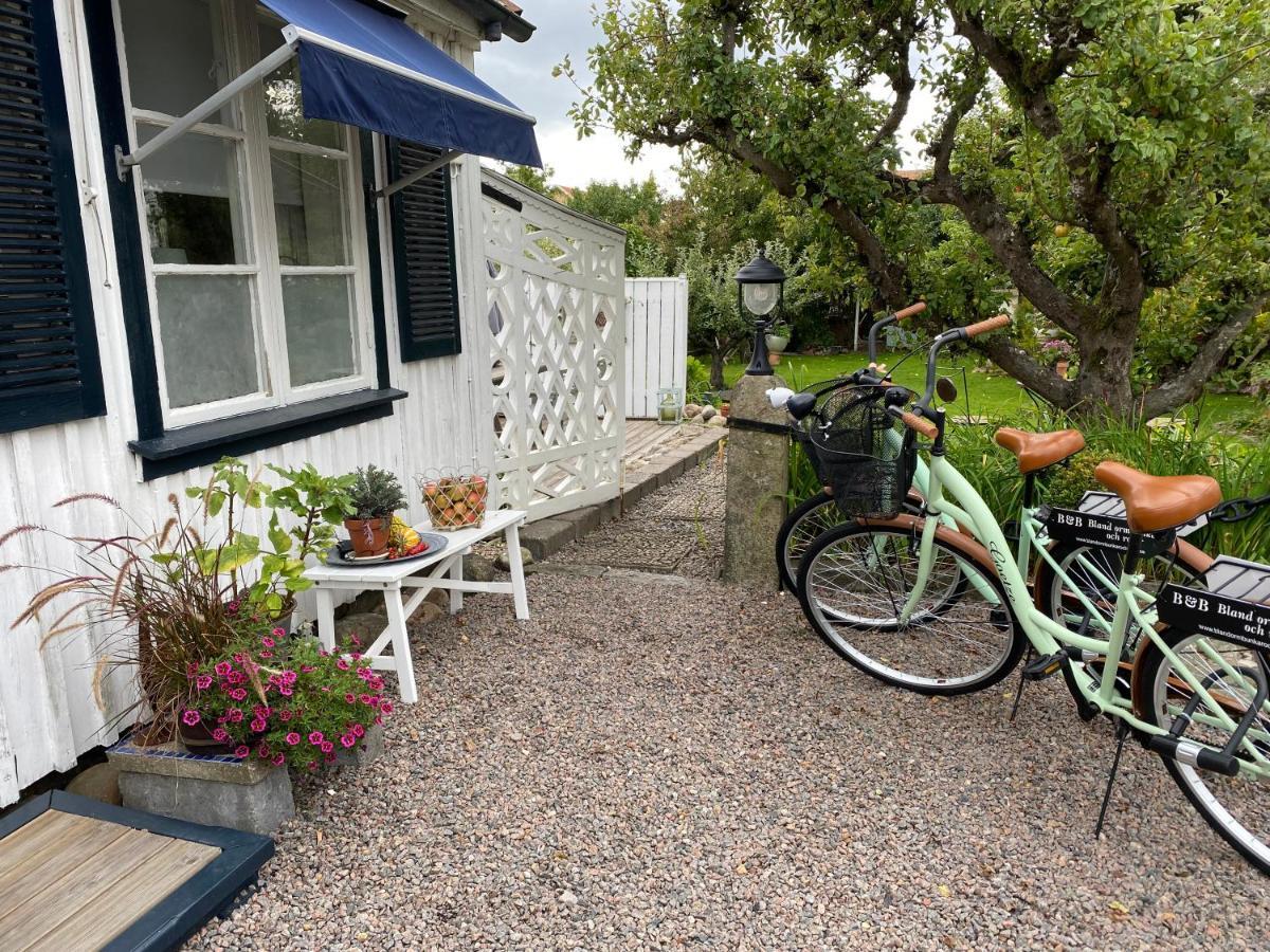 B&B Bland Ormbunkar Och Rosor ファルケンベリ エクステリア 写真